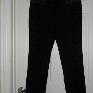 Passports- Curvy-Fit Womens dress pants